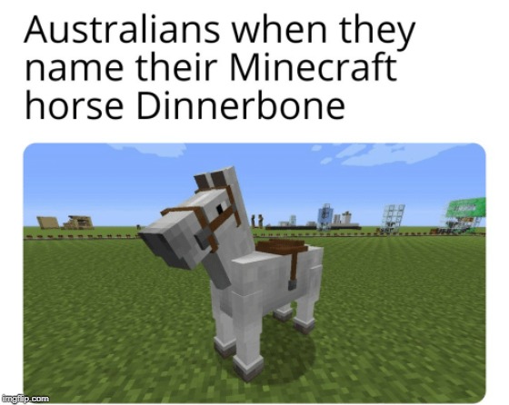 image tagged in minecraft,dinnerbone,horse,austria | made w/ Imgflip meme maker