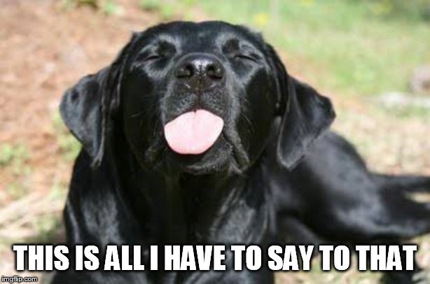 Tongue | THIS IS ALL I HAVE TO SAY TO THAT | image tagged in tongue | made w/ Imgflip meme maker