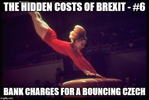 THE HIDDEN COSTS OF BREXIT - #6; BANK CHARGES FOR A BOUNCING CZECH | image tagged in brexit | made w/ Imgflip meme maker