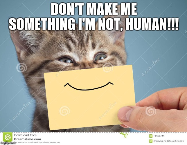 DON'T MAKE ME SOMETHING I'M NOT, HUMAN!!! | image tagged in smiling cat | made w/ Imgflip meme maker