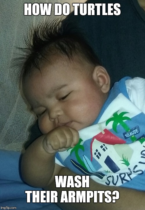 HOW DO TURTLES; WASH THEIR ARMPITS? | image tagged in thinking,skeptical baby,baby | made w/ Imgflip meme maker