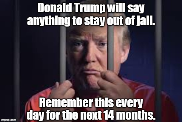 Your daily mantra. | Donald Trump will say anything to stay out of jail. Remember this every day for the next 14 months. | image tagged in trump jail,trump,liar,criminal | made w/ Imgflip meme maker