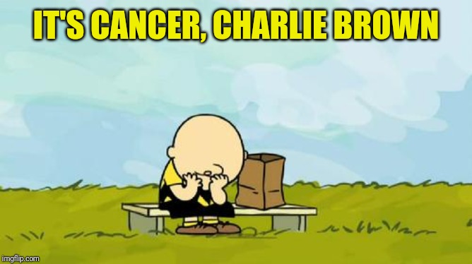 Depressed Charlie Brown | IT'S CANCER, CHARLIE BROWN | image tagged in depressed charlie brown | made w/ Imgflip meme maker