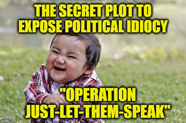 Evil Toddler | THE SECRET PLOT TO EXPOSE POLITICAL IDIOCY; "OPERATION JUST-LET-THEM-SPEAK" | image tagged in memes,evil toddler | made w/ Imgflip meme maker