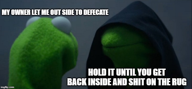 Evil Kermit Meme | MY OWNER LET ME OUT SIDE TO DEFECATE; HOLD IT UNTIL YOU GET BACK INSIDE AND SHIT ON THE RUG | image tagged in memes,evil kermit | made w/ Imgflip meme maker