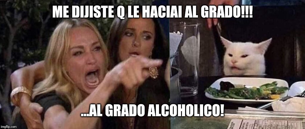 woman yelling at cat | ME DIJISTE Q LE HACIAI AL GRADO!!! ...AL GRADO ALCOHOLICO! | image tagged in woman yelling at cat | made w/ Imgflip meme maker