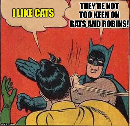 Batman Slapping Robin Meme | I LIKE CATS THEY’RE NOT TOO KEEN ON BATS AND ROBINS! | image tagged in memes,batman slapping robin | made w/ Imgflip meme maker