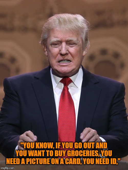 Donald Trump | "YOU KNOW, IF YOU GO OUT AND YOU WANT TO BUY GROCERIES, YOU NEED A PICTURE ON A CARD, YOU NEED ID," | image tagged in donald trump | made w/ Imgflip meme maker