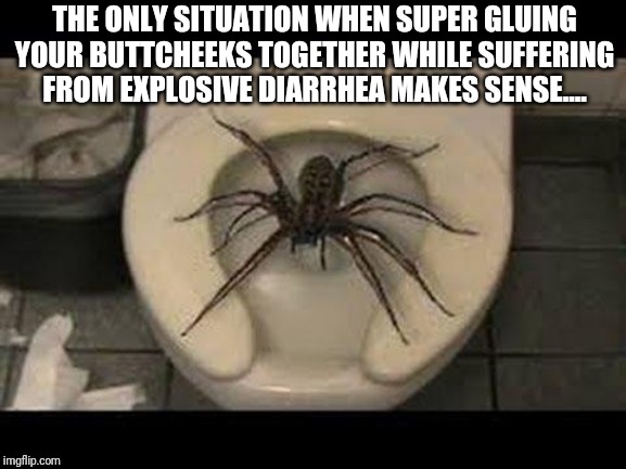 Spiders guarding the toilet | THE ONLY SITUATION WHEN SUPER GLUING YOUR BUTTCHEEKS TOGETHER WHILE SUFFERING FROM EXPLOSIVE DIARRHEA MAKES SENSE.... | image tagged in spider toilet | made w/ Imgflip meme maker