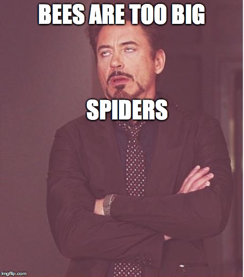 Face You Make Robert Downey Jr | BEES ARE TOO BIG; SPIDERS | image tagged in memes,face you make robert downey jr | made w/ Imgflip meme maker