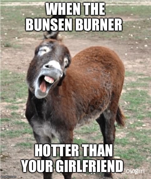 WHEN THE BUNSEN BURNER; HOTTER THAN YOUR GIRLFRIEND | image tagged in memes | made w/ Imgflip meme maker