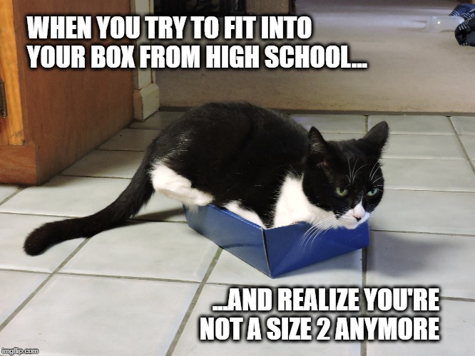 Box too small? Or butt too big...:) | WHEN YOU TRY TO FIT INTO YOUR BOX FROM HIGH SCHOOL... ...AND REALIZE YOU'RE NOT A SIZE 2 ANYMORE | image tagged in that face you make when | made w/ Imgflip meme maker
