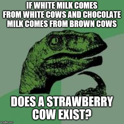 Time raptor  | IF WHITE MILK COMES FROM WHITE COWS AND CHOCOLATE MILK COMES FROM BROWN COWS DOES A STRAWBERRY COW EXIST? | image tagged in time raptor | made w/ Imgflip meme maker
