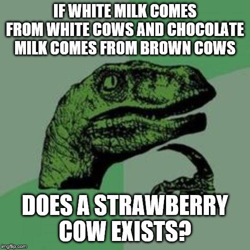 Strawberry Cow | IF WHITE MILK COMES FROM WHITE COWS AND CHOCOLATE MILK COMES FROM BROWN COWS; DOES A STRAWBERRY COW EXISTS? | image tagged in time raptor,genius,cow,cows,milk,confused | made w/ Imgflip meme maker