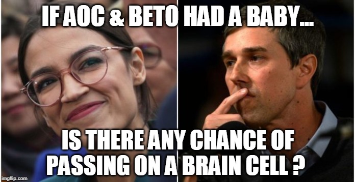 Democrat Dimwits | IF AOC & BETO HAD A BABY... IS THERE ANY CHANCE OF PASSING ON A BRAIN CELL ? | image tagged in politics,political meme,politics lol,politicians,political humor | made w/ Imgflip meme maker