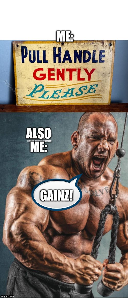 ME:; ALSO ME:; GAINZ! | image tagged in blank white template,gymlife,gains | made w/ Imgflip meme maker