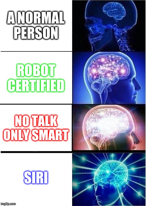 Expanding Brain Meme | A NORMAL PERSON; ROBOT CERTIFIED; NO TALK ONLY SMART; SIRI | image tagged in memes,expanding brain | made w/ Imgflip meme maker