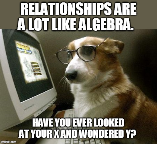 Smart Dog | RELATIONSHIPS ARE A LOT LIKE ALGEBRA. HAVE YOU EVER LOOKED AT YOUR X AND WONDERED Y? | image tagged in smart dog | made w/ Imgflip meme maker