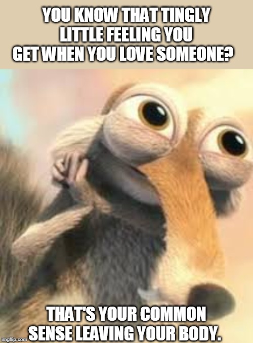 Ice age squirrel in love | YOU KNOW THAT TINGLY LITTLE FEELING YOU GET WHEN YOU LOVE SOMEONE? THAT'S YOUR COMMON SENSE LEAVING YOUR BODY. | image tagged in ice age squirrel in love | made w/ Imgflip meme maker