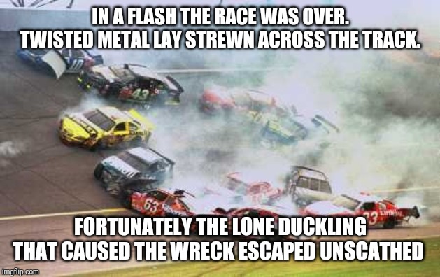 In the spirit of The Far Side part 1 - the duckling survived | IN A FLASH THE RACE WAS OVER. TWISTED METAL LAY STREWN ACROSS THE TRACK. FORTUNATELY THE LONE DUCKLING THAT CAUSED THE WRECK ESCAPED UNSCATHED | image tagged in memes,because race car | made w/ Imgflip meme maker