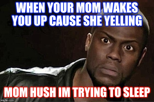 Kevin Hart | WHEN YOUR MOM WAKES YOU UP CAUSE SHE YELLING; MOM HUSH IM TRYING TO SLEEP | image tagged in memes,kevin hart | made w/ Imgflip meme maker