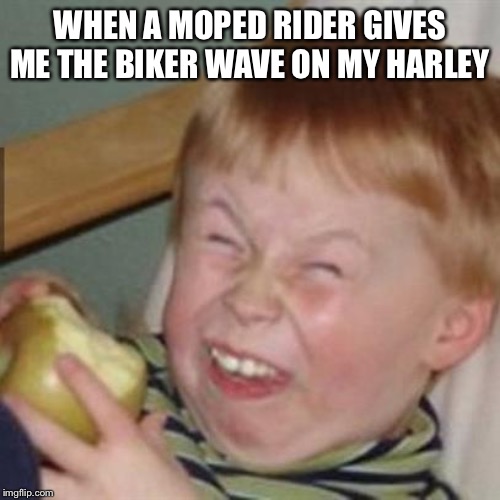 laughing kid | WHEN A MOPED RIDER GIVES ME THE BIKER WAVE ON MY HARLEY | image tagged in laughing kid | made w/ Imgflip meme maker