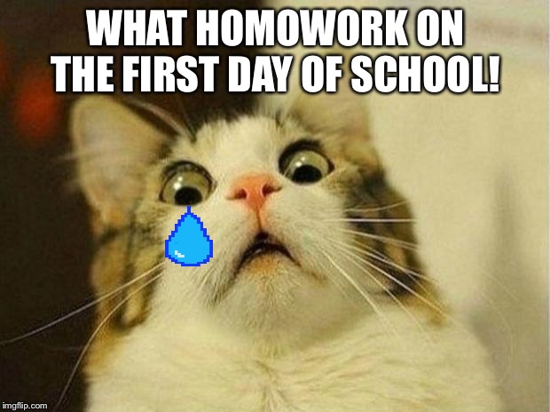 Scared Cat Meme | WHAT HOMOWORK ON THE FIRST DAY OF SCHOOL! | image tagged in memes,scared cat | made w/ Imgflip meme maker