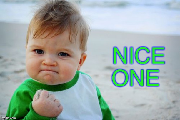 Success Kid Original Meme | NICE ONE | image tagged in memes,success kid original | made w/ Imgflip meme maker