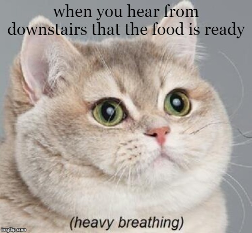 Heavy Breathing Cat | when you hear from downstairs that the food is ready | image tagged in memes,heavy breathing cat | made w/ Imgflip meme maker