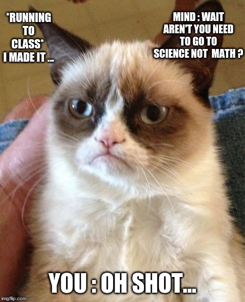 Grumpy Cat Meme | *RUNNING TO CLASS* 
I MADE IT ... MIND : WAIT AREN'T YOU NEED TO GO TO SCIENCE NOT  MATH ? YOU : OH SHOT... | image tagged in memes,grumpy cat | made w/ Imgflip meme maker
