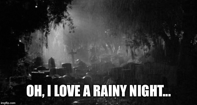 OH, I LOVE A RAINY NIGHT... | made w/ Imgflip meme maker