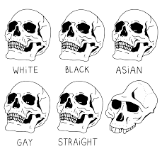 High Quality Skull Comparisons Blank Meme Template