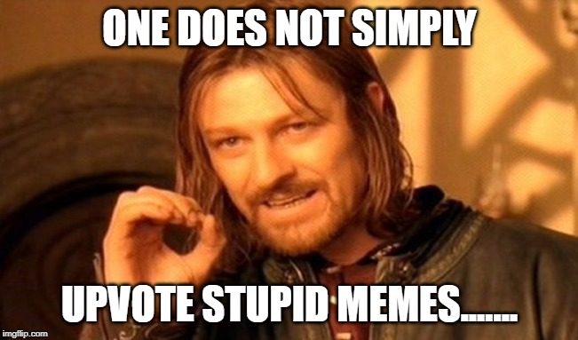 Upvote GOOD Memes | ONE DOES NOT SIMPLY; UPVOTE STUPID MEMES....... | image tagged in memes,one does not simply | made w/ Imgflip meme maker
