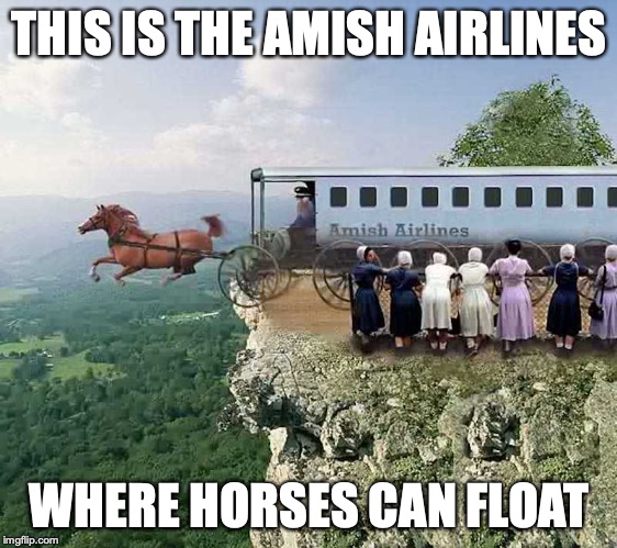 Amish Air | THIS IS THE AMISH AIRLINES; WHERE HORSES CAN FLOAT | image tagged in airlines,amish,memes | made w/ Imgflip meme maker