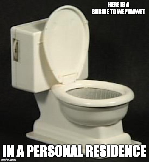 Toliet | HERE IS A SHRINE TO WEPWAWET; IN A PERSONAL RESIDENCE | image tagged in toliet,memes | made w/ Imgflip meme maker