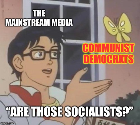 Is This A Pigeon | THE MAINSTREAM MEDIA; COMMUNIST DEMOCRATS; “ARE THOSE SOCIALISTS?” | image tagged in memes,is this a pigeon | made w/ Imgflip meme maker