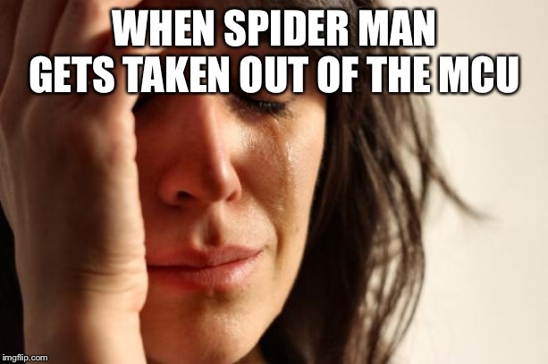 First World Problems Meme | WHEN SPIDER MAN GETS TAKEN OUT OF THE MCU | image tagged in memes,first world problems | made w/ Imgflip meme maker