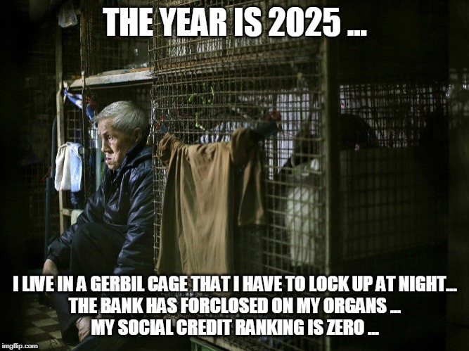 The Year is 2025 ... | image tagged in 2025,gerbil cage,organs,bank,social credit,social credit system | made w/ Imgflip meme maker