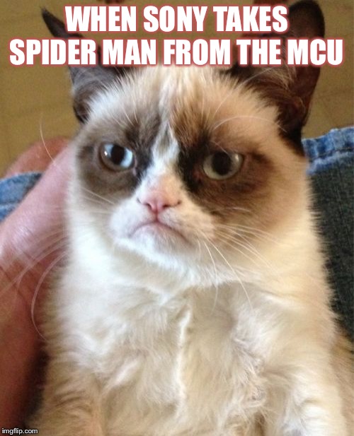 Grumpy Cat Meme | WHEN SONY TAKES SPIDER MAN FROM THE MCU | image tagged in memes,grumpy cat | made w/ Imgflip meme maker