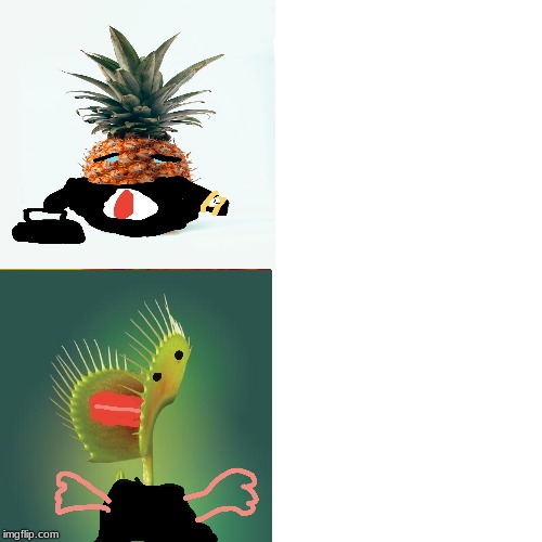 sad pineapple happy plant Blank Meme Template