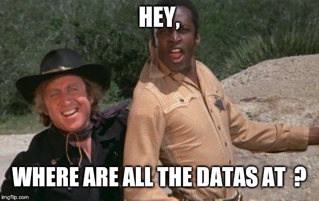 Blazing Saddles | HEY, WHERE ARE ALL THE DATAS AT  ? | image tagged in blazing saddles | made w/ Imgflip meme maker