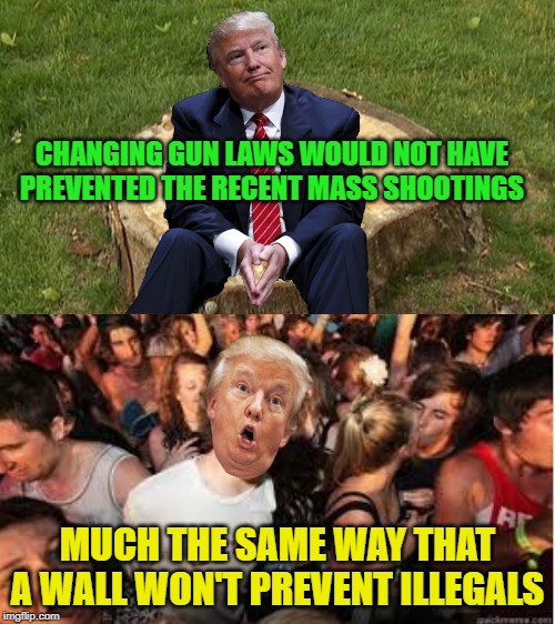 The NRA owns him | CHANGING GUN LAWS WOULD NOT HAVE PREVENTED THE RECENT MASS SHOOTINGS; MUCH THE SAME WAY THAT A WALL WON'T PREVENT ILLEGALS | image tagged in trump on a stump,suddenly clear donald,guns,wall | made w/ Imgflip meme maker