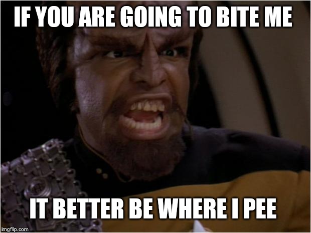 Lt Worf | IF YOU ARE GOING TO BITE ME IT BETTER BE WHERE I PEE | image tagged in lt worf | made w/ Imgflip meme maker