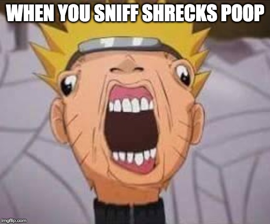 Naruto joke | WHEN YOU SNIFF SHRECKS POOP | image tagged in naruto joke | made w/ Imgflip meme maker