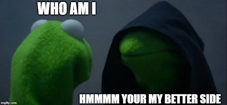 Evil Kermit | WHO AM I; HMMMM YOUR MY BETTER SIDE | image tagged in memes,evil kermit | made w/ Imgflip meme maker