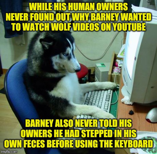 In the spirit of The Far Side part 20 - bad dog! | WHILE HIS HUMAN OWNERS NEVER FOUND OUT WHY BARNEY WANTED TO WATCH WOLF VIDEOS ON YOUTUBE; BARNEY ALSO NEVER TOLD HIS OWNERS HE HAD STEPPED IN HIS OWN FECES BEFORE USING THE KEYBOARD | image tagged in memes,i have no idea what i am doing | made w/ Imgflip meme maker