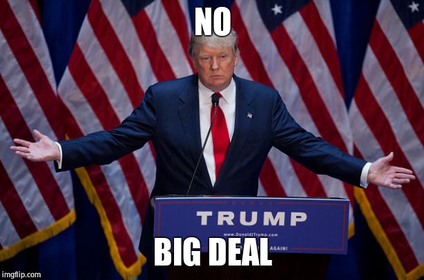 Donald Trump | NO BIG DEAL | image tagged in donald trump | made w/ Imgflip meme maker