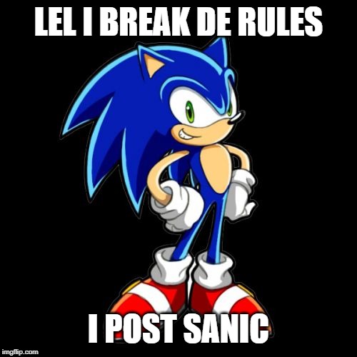 You're Too Slow Sonic | LEL I BREAK DE RULES; I POST SANIC | image tagged in memes,youre too slow sonic | made w/ Imgflip meme maker