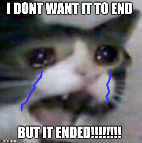 crying cat | I DONT WANT IT TO END BUT IT ENDED!!!!!!!! | image tagged in crying cat | made w/ Imgflip meme maker