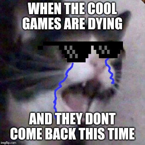 Cat Screaming | WHEN THE COOL GAMES ARE DYING AND THEY DONT COME BACK THIS TIME | image tagged in cat screaming | made w/ Imgflip meme maker